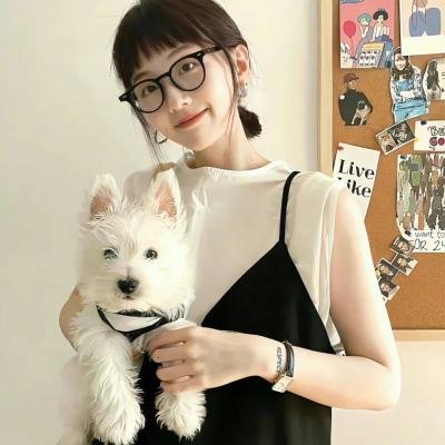 捣乱的流浪者