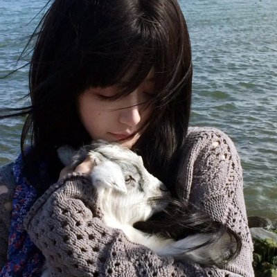 好莱坞结局